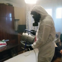 Дезинфекция от клопов в ЮЗАО Москвы